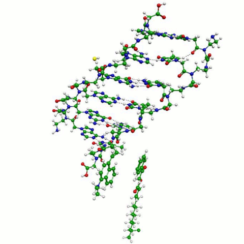 double_helix