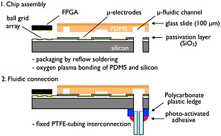 assembly_interconnection